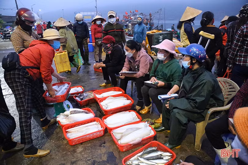 “Vượt khó” bám biển, ngư dân Hà Tĩnh thu về nhiều hải sản
