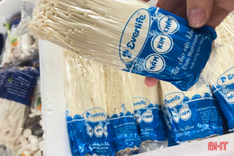 Nấm "ngoại" giá rẻ tràn lan chợ dân sinh, người trồng nấm Hà Tĩnh lao đao