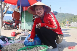 Nhiều nông sản địa phương "hút khách" tại Khu du lịch chùa Hương Tích