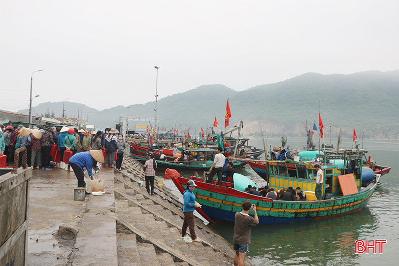 Việc ngư dân tích cực ra khơi không chỉ đem về cho bà con nguồn thu khá mà còn đảm bảo nguồn cung hải sản đa dạng. z5320586412847_0d373ee8f92b33cbcfadf40b868a06ad copy.jpg