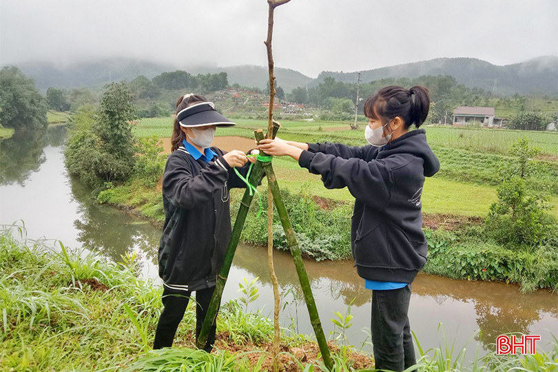 z5190511025138_d14c706237561dd28640271ef1e43ed0 copy.jpg