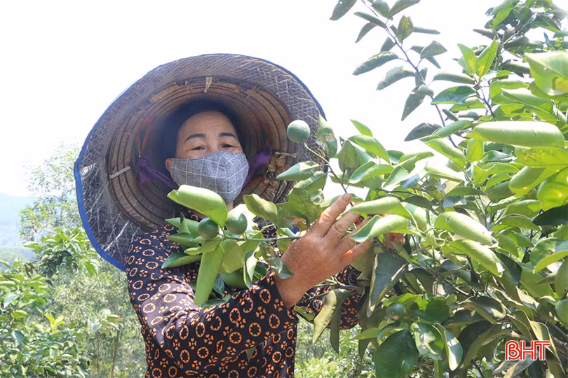 z5391010395775_4c24a5564623b527446e63df9cb4ec58 copy.jpg