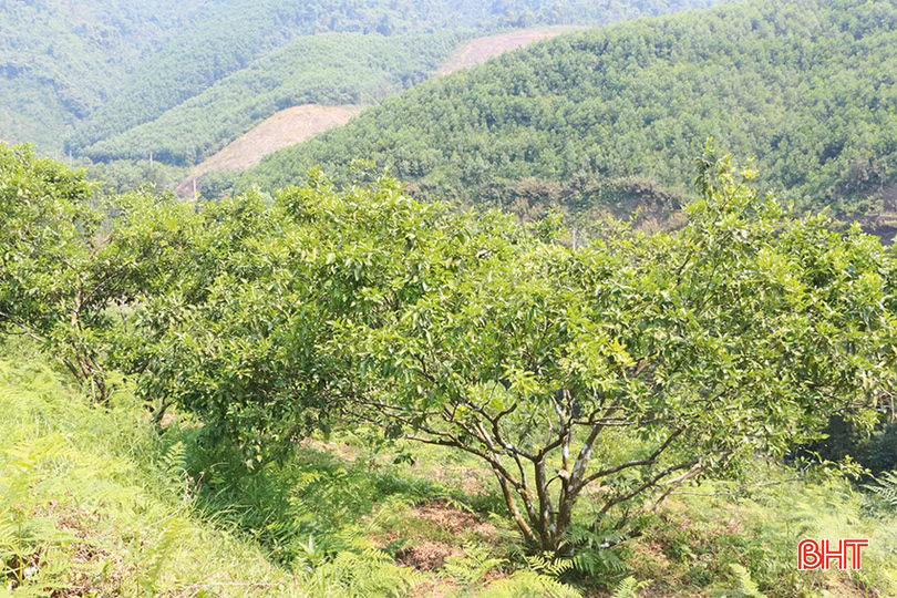 z5390735411309_b3ead988f3b54910135111ef9743568b copy.jpg