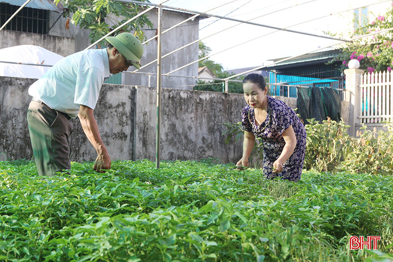 Ông Huấn luôn tích cực vận động bà con tăng gia sản xuất để vừa phát triển kinh tế, vừa tạo điểm nhấn cho khu dân cư. z5610840615414_c3c00ca1668f4585f175dd86fcbb4af9 copy.jpg