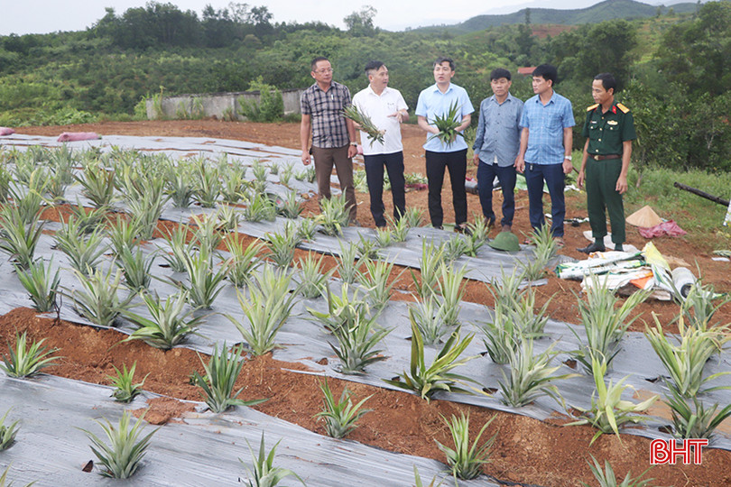 ede73cf196f934a76de8 copy.jpg