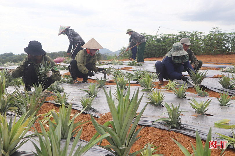 7c271456be5e1c00454f copy.jpg