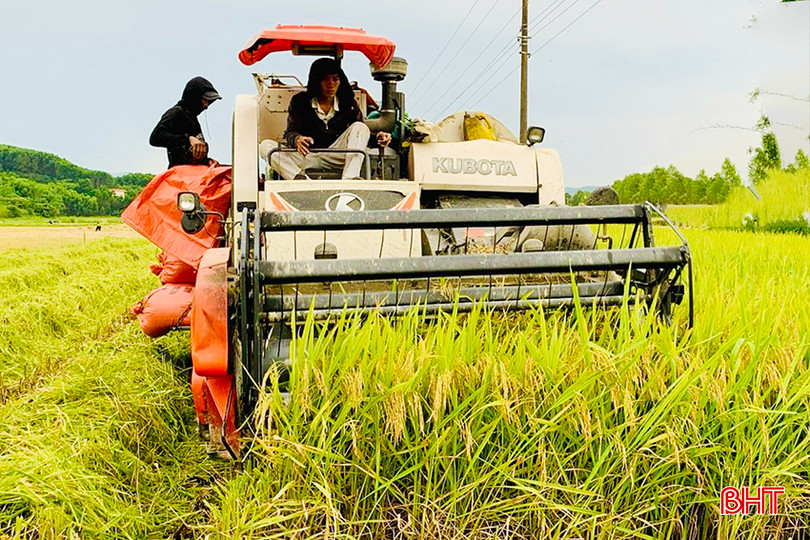Ruộng bằng phẳng, máy gặt đập liên hợp thuận lợi vào tận ruộng thu hoạch lúa cho bà con các thôn: Bình Quang, Tân Lệ, Liên Châu. IMG_8390 copy.jpg