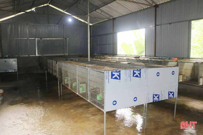 Chuồng trại được anh Trường đầu tư khá bài bản, thường xuyên được dọn dẹp vệ sinh. z5431194212091_34d96afe421e5fc38631c6bfb3efaee6.jpg