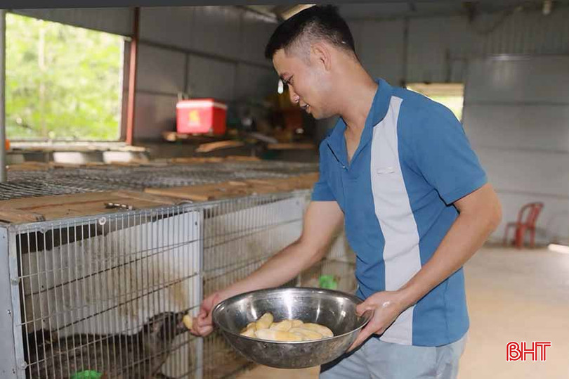 Mô hình nuôi chồn của anh Trường dự kiến sẽ đem lại hiệu quả kinh tế cao. z5431557874527_1d332b2c1598663fefe1edecea0c9b9b.jpg