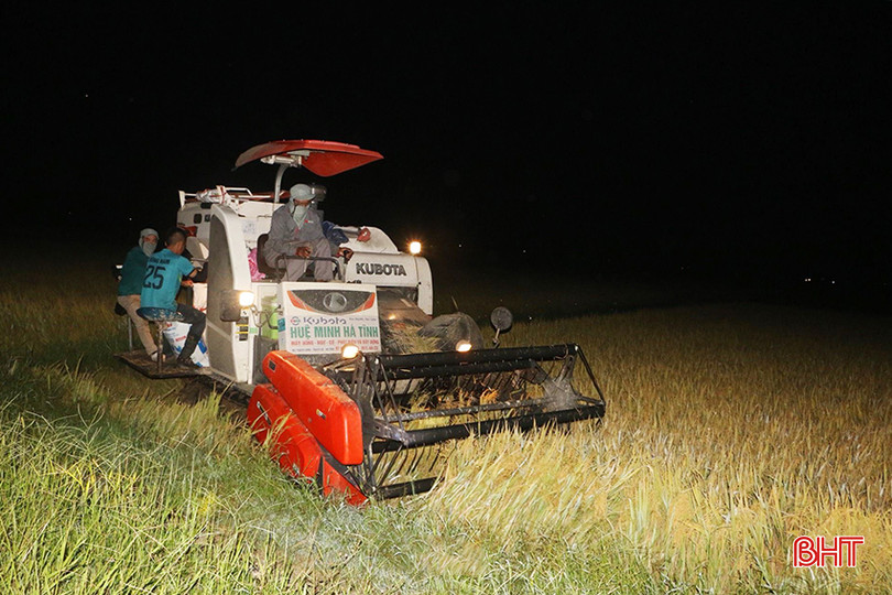 f67e3f37aab7e9a23b106f92c31d4970 copy.jpg