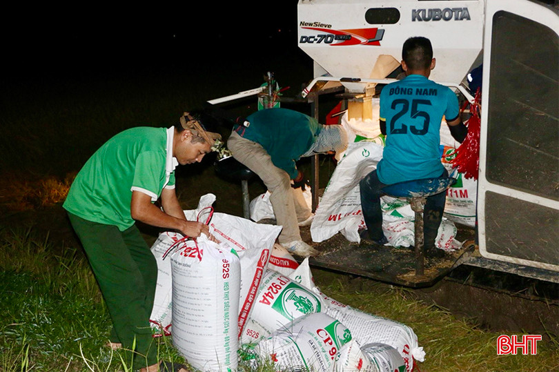 ad531e062ff05766b734c6289db2f78f copy.jpg