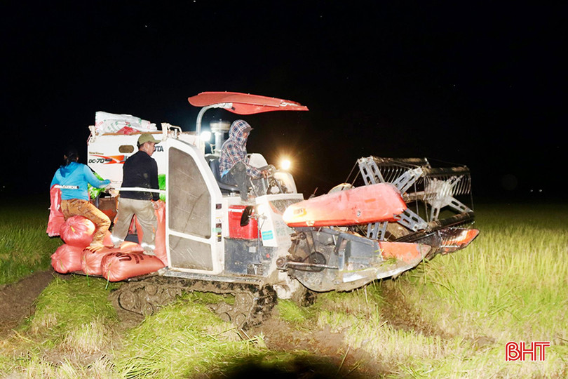 z5424240516495_3f413734ef3b6b8cab0fa9afce9a6e3e copy.jpg