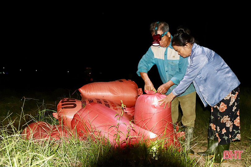 z5424240510187_4aeacfa654bfe595b884792281d13bc9 copy.jpg