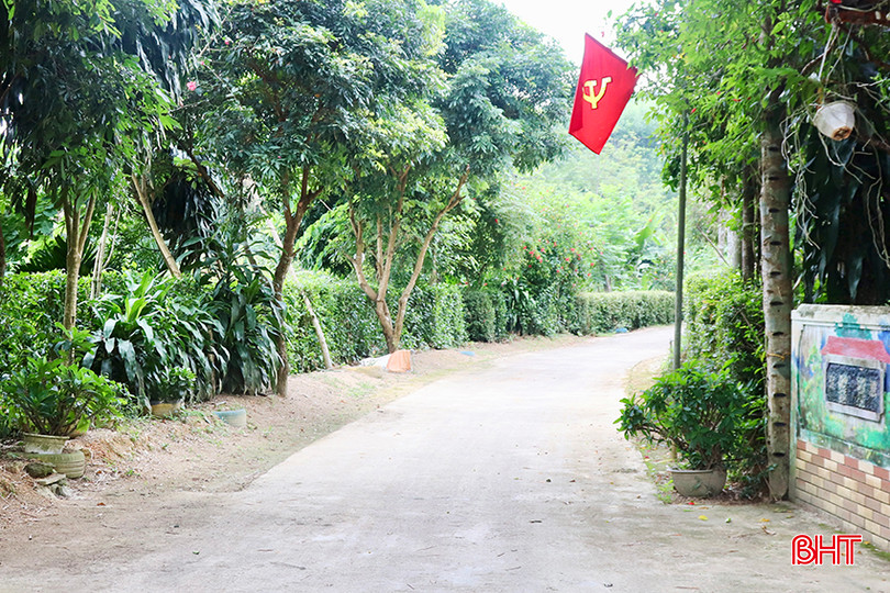 Những con đường rợp bóng cây xanh ở cụm dân cư sinh thái Khe Enh. IMG_7027 copy.jpg