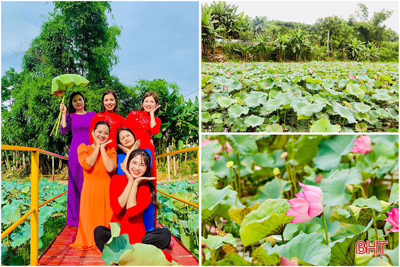 Đầm sen rực rỡ sắc hoa trở thành điểm check in đẹp mắt của du khách gần xa cũng như người dân địa phương. 5DED78EC-F576-48B9-B0F1-0DA51B5C6455 copy.jpg