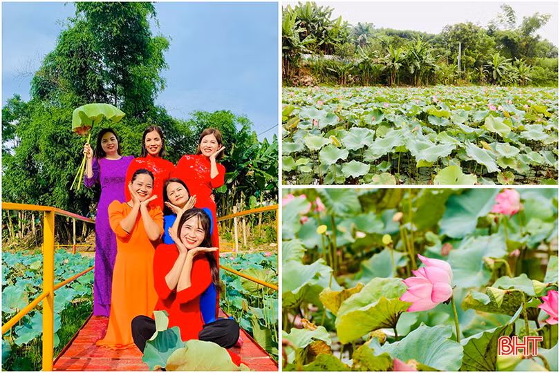 5DED78EC-F576-48B9-B0F1-0DA51B5C6455 copy.jpg