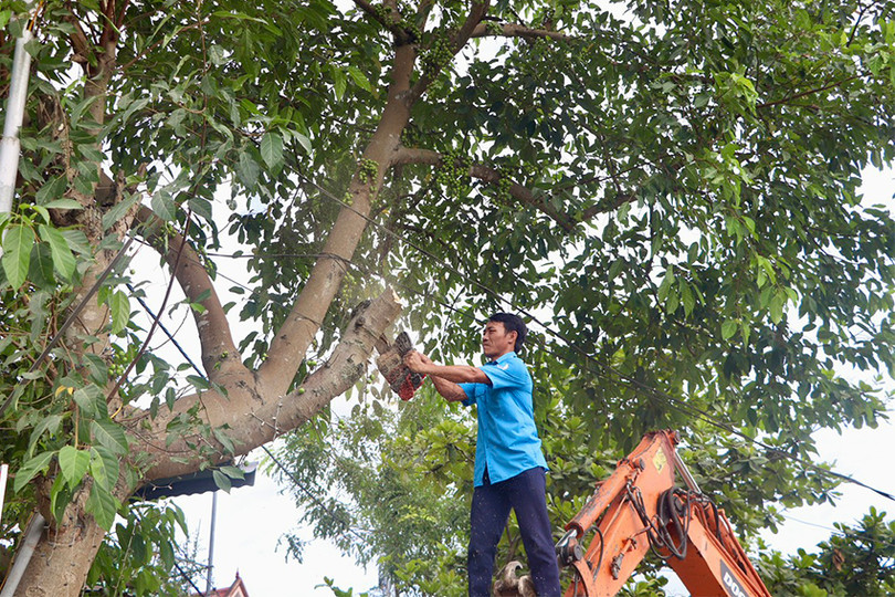 z5541339445758_c2ae18c9535be681735b90bb523c8b56 copy.jpg