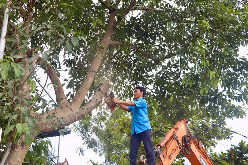 z5541339445758_c2ae18c9535be681735b90bb523c8b56 copy.jpg