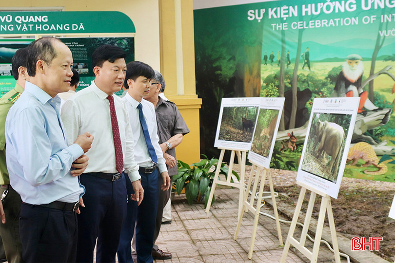 Phó Chủ tịch Thường trực UBND tỉnh Nguyễn Hồng Lĩnh tham quan khu vực trưng bày ảnh các loài động vật hoang dã tại Vườn Quốc gia Vũ Quang. Phó Chủ tịch Thường trực UBND tỉnh Nguyễn Hồng Lĩnh tham quan khu vực trưng bày ảnh các loài động vật hoang dã tại Vườn Quốc gia Vũ Quang.