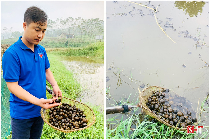 Mô hình nuôi ốc bươu đen của anh Dương Đình Luân (ở thôn Thanh Sơn, xã Đức Lĩnh) cho thu nhập hơn 100 triệu đồng/năm). z5278840965685_d2588c889dd21a3598d5659e239e1fcd copy.jpg