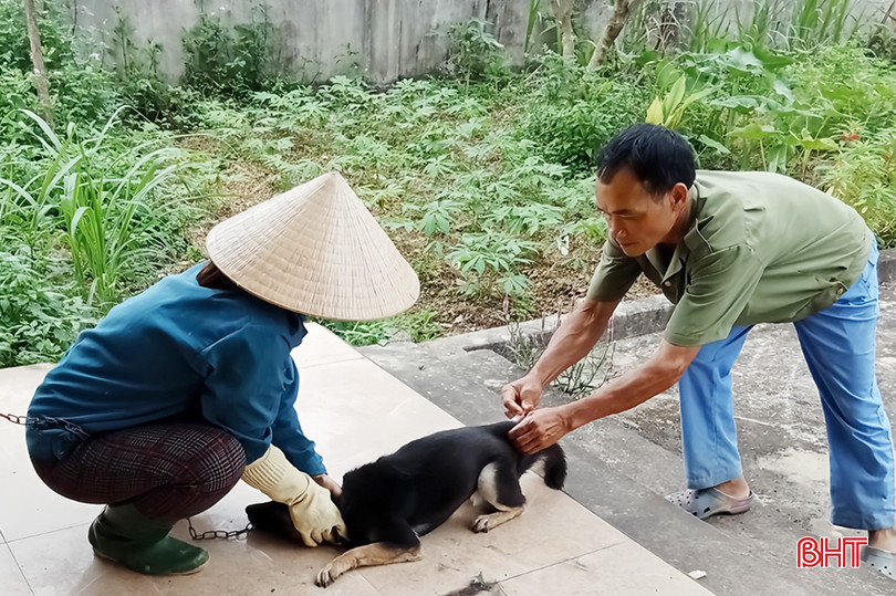 z5268017909221_4bf818d3b38e60d4478b7f98ccd1283c copy.jpg