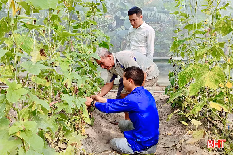 z5278140133341_161d83f3af30e34e594e8a41e1417a86 (1) copy.jpg