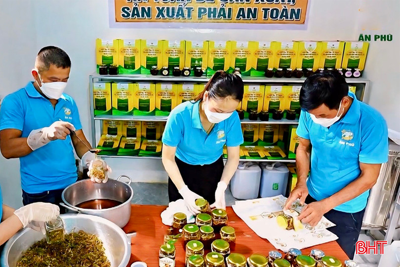 Trung bình mỗi tháng, gia đình ông bán được khoảng 100 hũ, đem về nguồn thu từ 10 - 15 triệu đồng cho gia đình. 53c5942c7cd60bc0b846ebc0de5475a8 copy.jpg