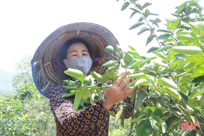 Ngoài chăm lo phát triển kinh tế, bà Phan Thị Hằng ở thôn Hợp Lợi (xã Hương Minh) còn tích cực xây dựng nông thôn mới tại địa phương. z5391010395775_4c24a5564623b527446e63df9cb4ec58 (1) copy.jpg