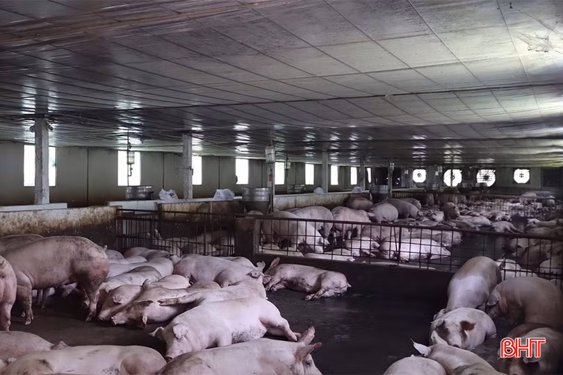 z5510285100077_ad770b255e268b5e3325c377eee774c2 copy.jpg