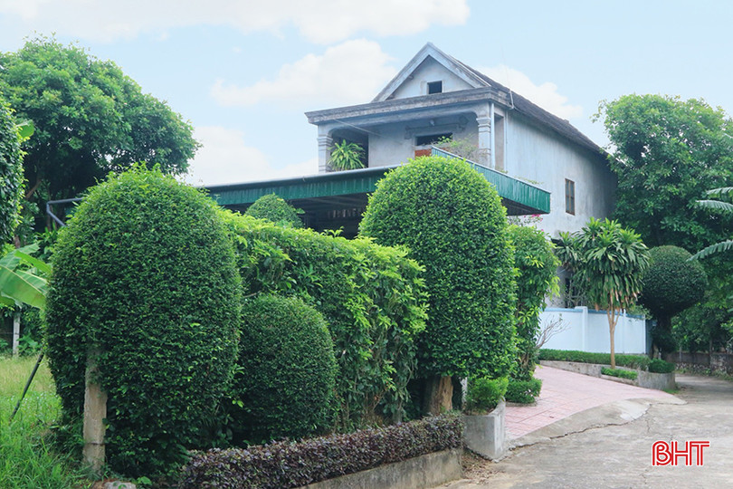 Xây dựng khu dân cư NTM kiểu mẫu đã góp phần thay đổi diện mạo làng quê An Thịnh. z5520193561858_15f7eee8592bd1383f976b3e39437c9b.jpg