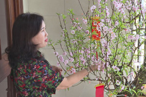 Xem người dân Hà Tĩnh chăm đào chơi Tết