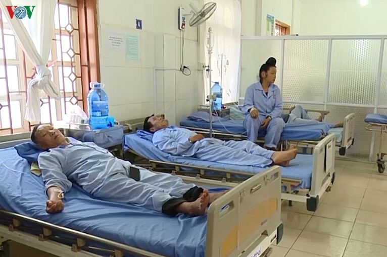 19 người ở Sơn La bị ngộ độc vì ăn bọ xít