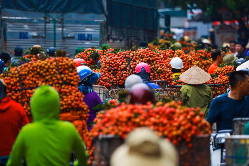 Lục Ngạn mùa vải chín: Phiên chợ rực rỡ sắc đỏ
