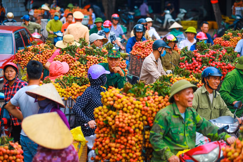 Lục Ngạn mùa vải chín: Phiên chợ rực rỡ sắc đỏ