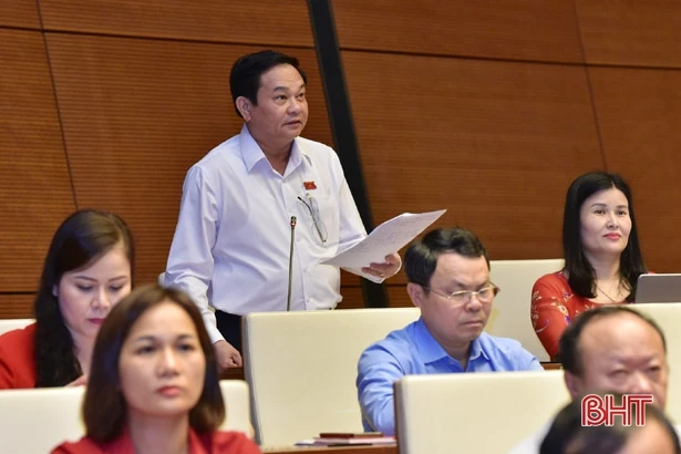 Đoàn Đại biểu Quốc hội tỉnh Hà Tĩnh tiếp tục đề nghị dừng khai thác mỏ sắt Thạch Khê