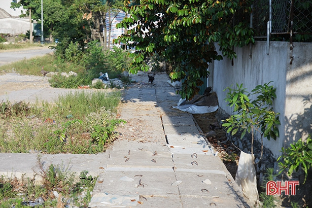 Khắc phục hố ga, miệng cống không nắp đậy trên các tuyến đường ở Hà Tĩnh