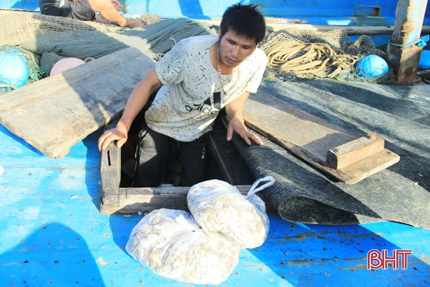 Bắt quả tang 2 tàu giã cào khai thác trái phép trên vùng biển Nghi Xuân