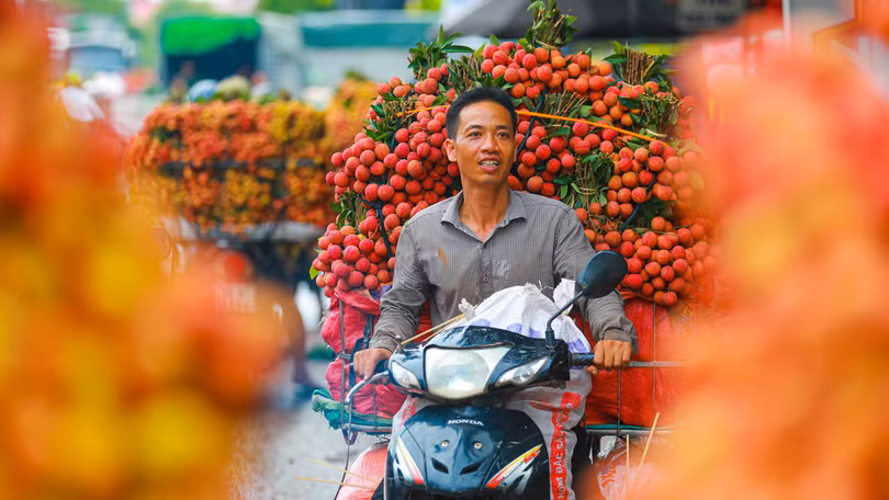 Lục Ngạn mùa vải chín: Phiên chợ rực rỡ sắc đỏ