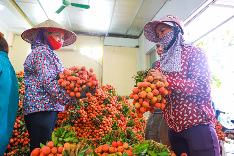 Lục Ngạn mùa vải chín: Phiên chợ rực rỡ sắc đỏ