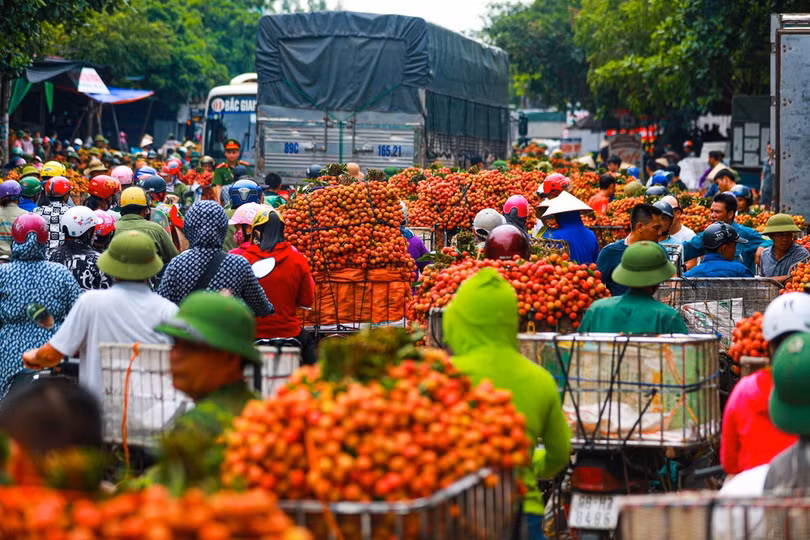 Lục Ngạn mùa vải chín: Phiên chợ rực rỡ sắc đỏ