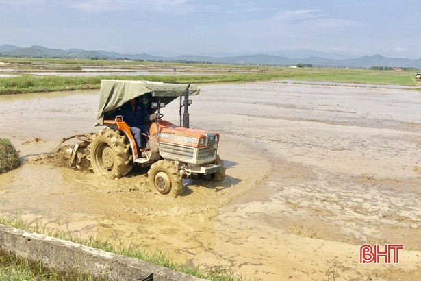 Máy thay người cấy lúa trên cánh đồng rộng 20ha ở Can Lộc