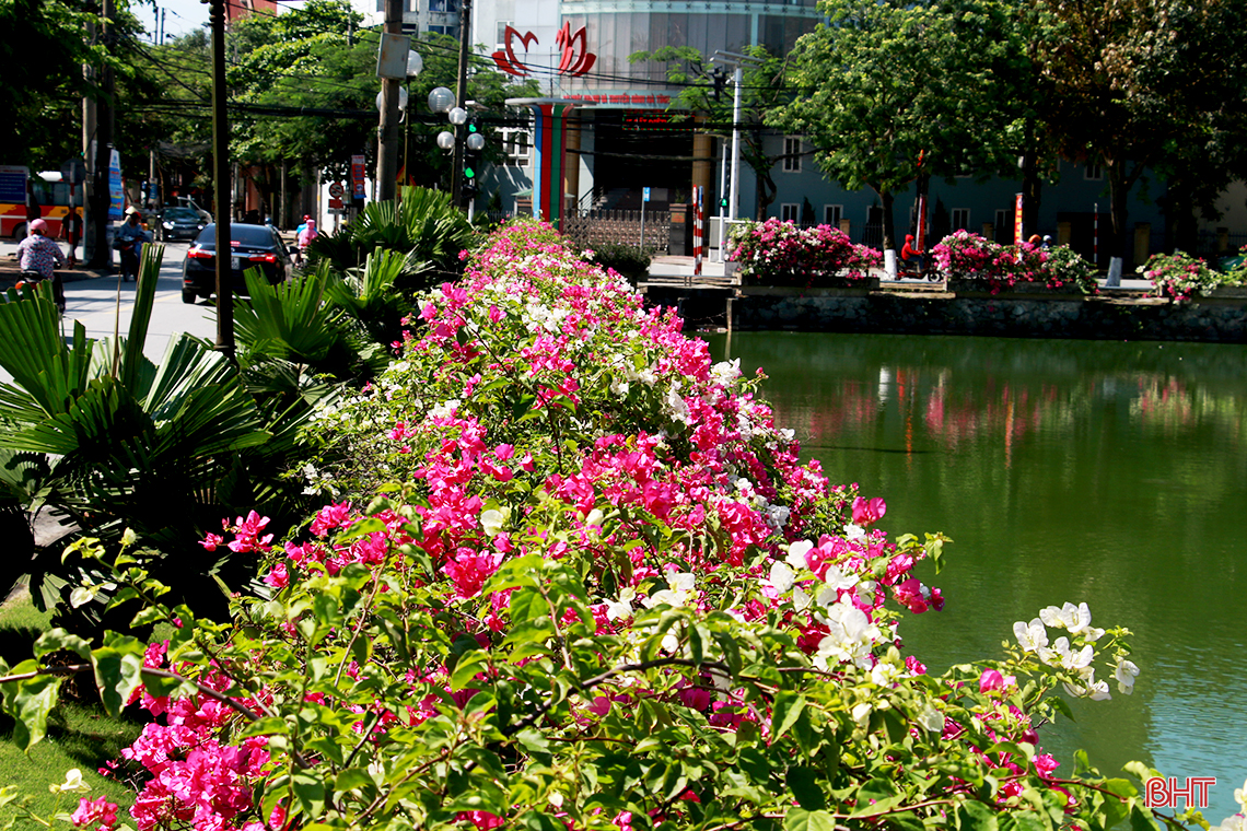 ngam hoa giay dep mong manh thon thuc giua nang he