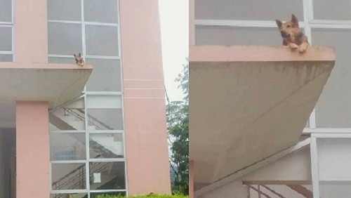 10 anh hai hot nhat facebook trong ngay