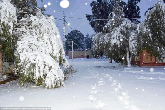 tuyet phu trang sa mac sahara
