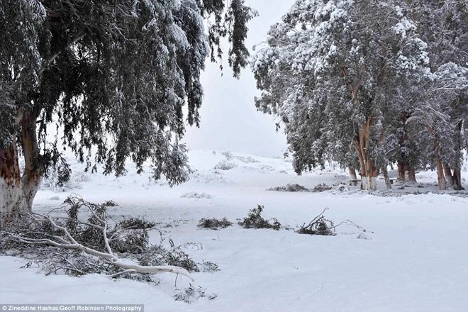 tuyet phu trang sa mac sahara