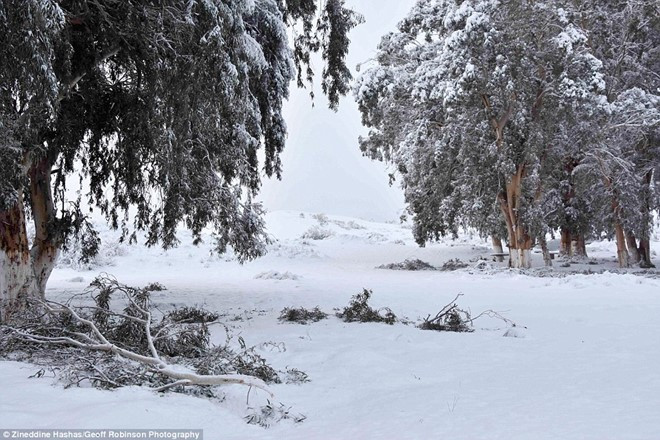 tuyet phu trang sa mac sahara