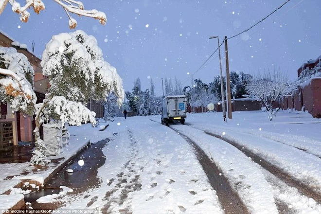 tuyet phu trang sa mac sahara