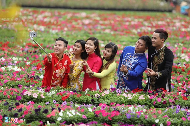 anh dep hoa xuan tren cac mien to quoc