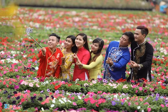 anh dep hoa xuan tren cac mien to quoc