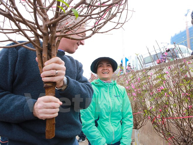 di cho hoa quang an dai su my tam su ke hoach nghi tet nguyen dan
